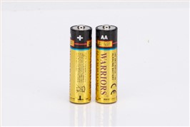 LR6（5号碱性电池） 420分钟-CE