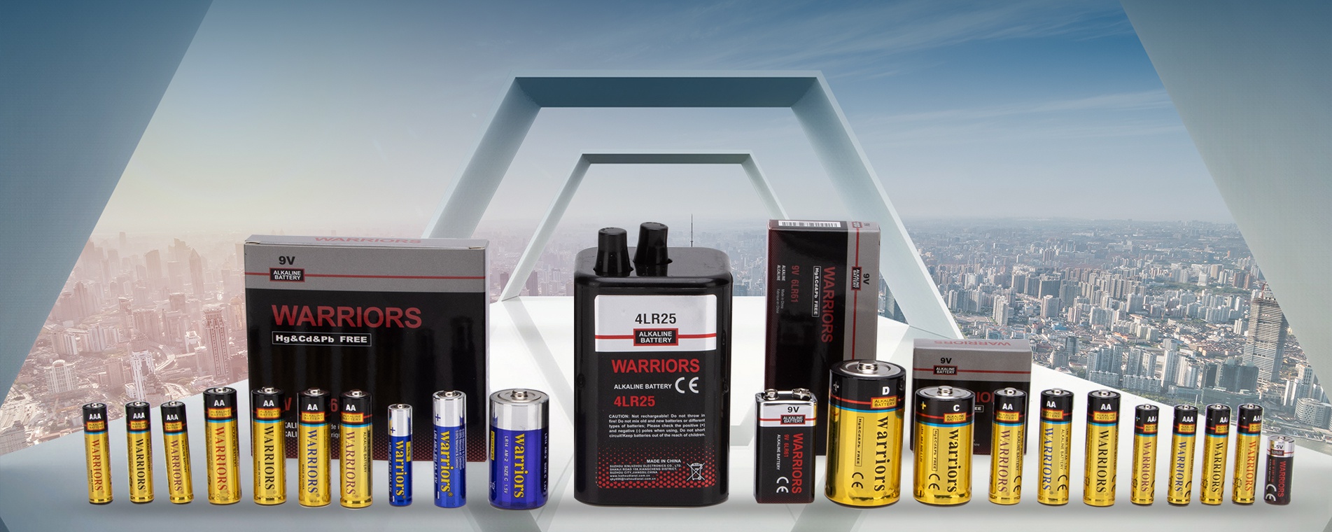 OEM/ODM Alkaline, Carbon, and Lithium Manganese Batteries Supplier