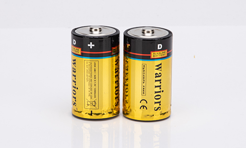 LR20 D battery full analysis: high performance and long-term use