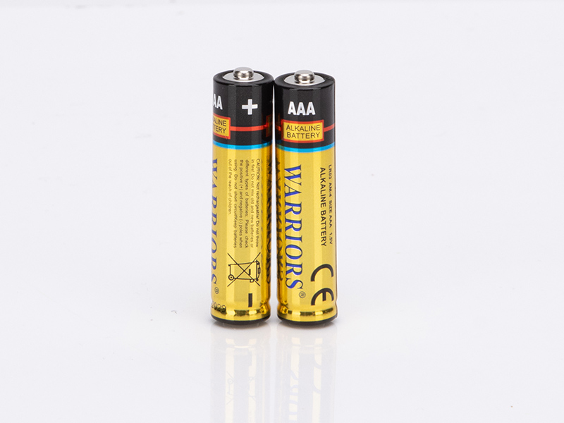 Industrial AAA Alkaline Batteries