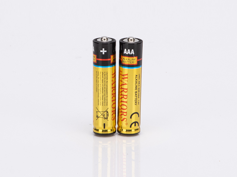 Industrial AAA Alkaline Batteries