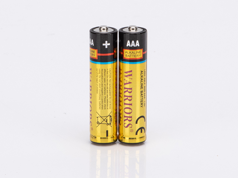 Power Your Business with Durable Industrial AAA Alkaline Batteries